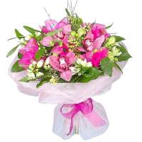 Розовое сияние